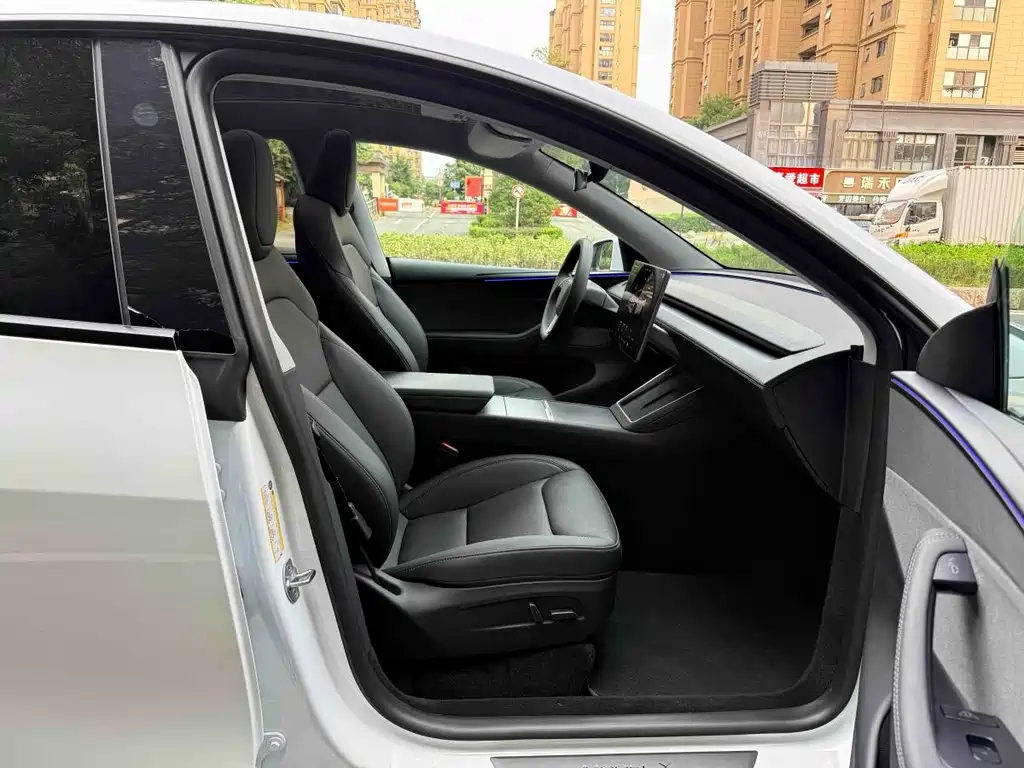Tesla Model Y — миниатюра 16