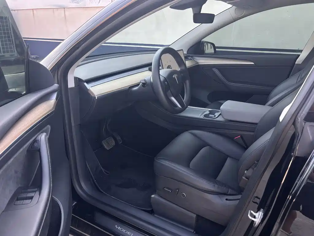 Tesla Model Y — миниатюра 8