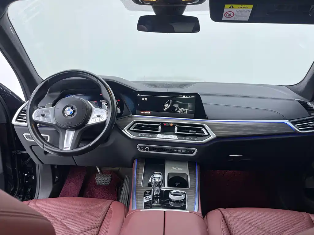 BMW X5 — миниатюра 12
