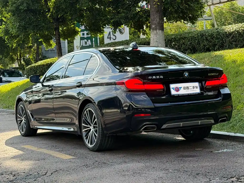 BMW 5 Series — миниатюра 4