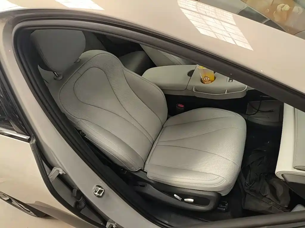 BYD Sealion 06 — миниатюра 25