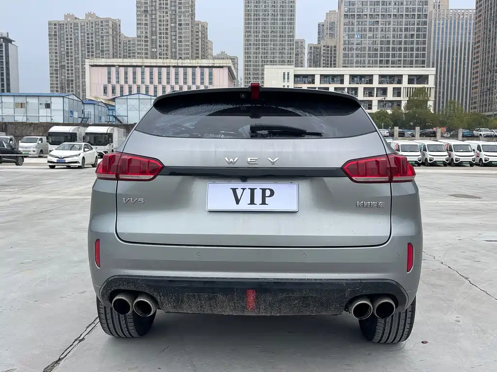 WEI PAI WEI BRAND VV5