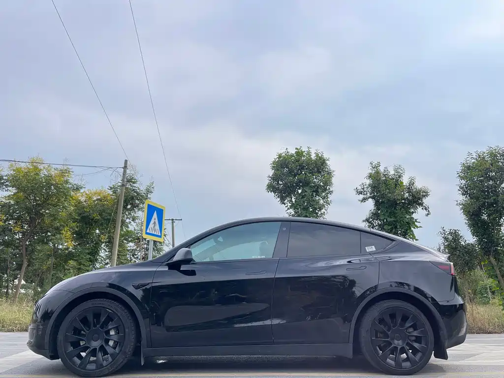 Tesla Model Y — миниатюра 4