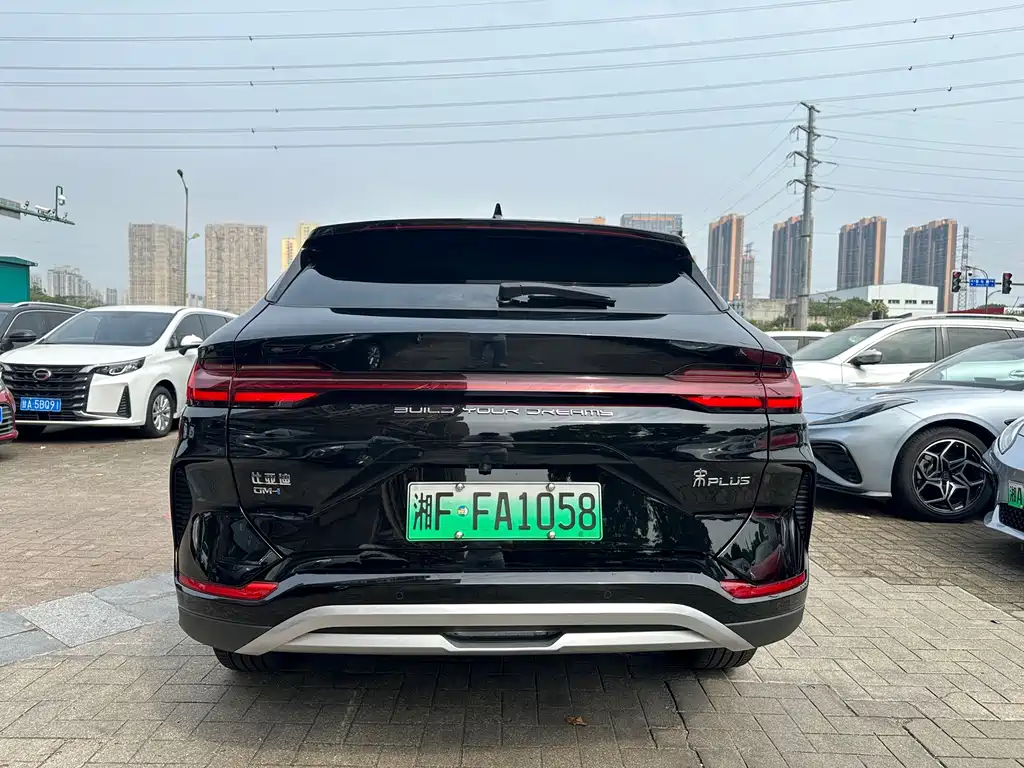 BYD PLUS New Energy — миниатюра 6