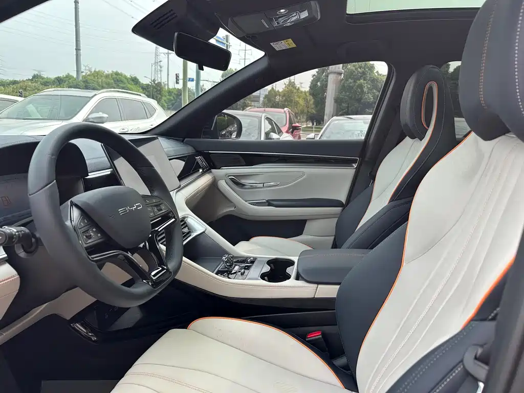 BYD PLUS New Energy — миниатюра 10