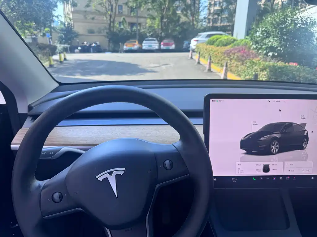 Tesla Model Y — миниатюра 5
