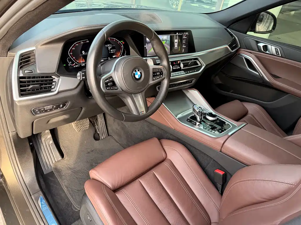BMW X6 2020 xDrive30i M Sport