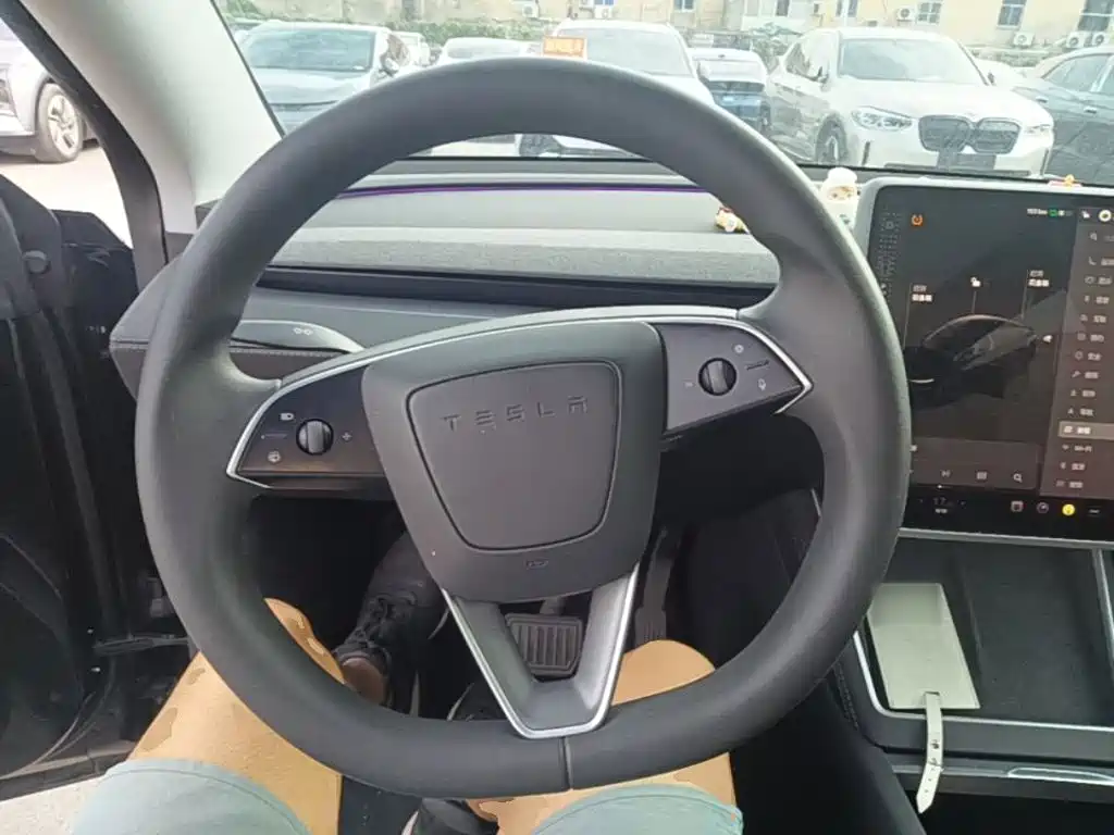 Tesla Model Y — миниатюра 11