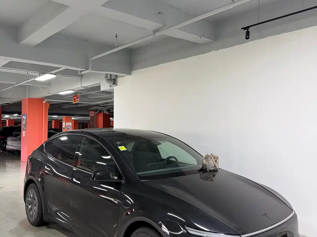 Tesla Model Y L — миниатюра 2