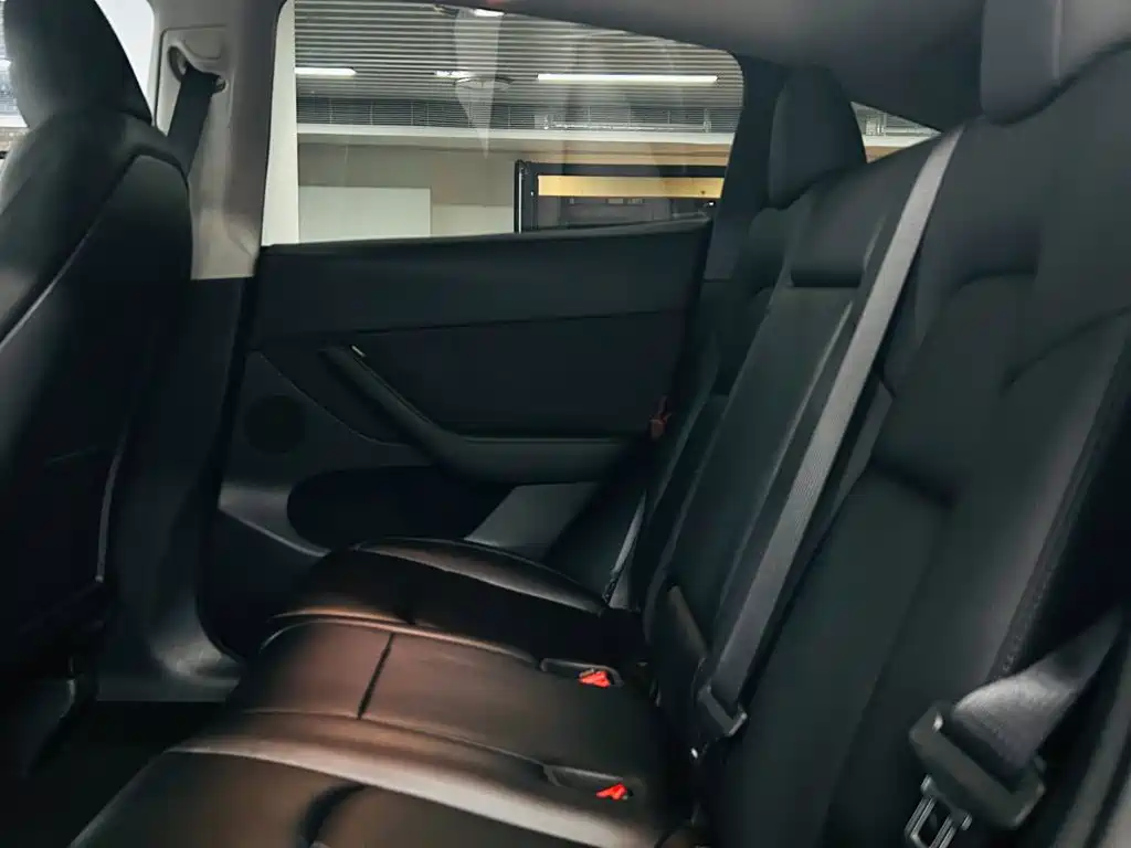 Tesla Model Y — миниатюра 9