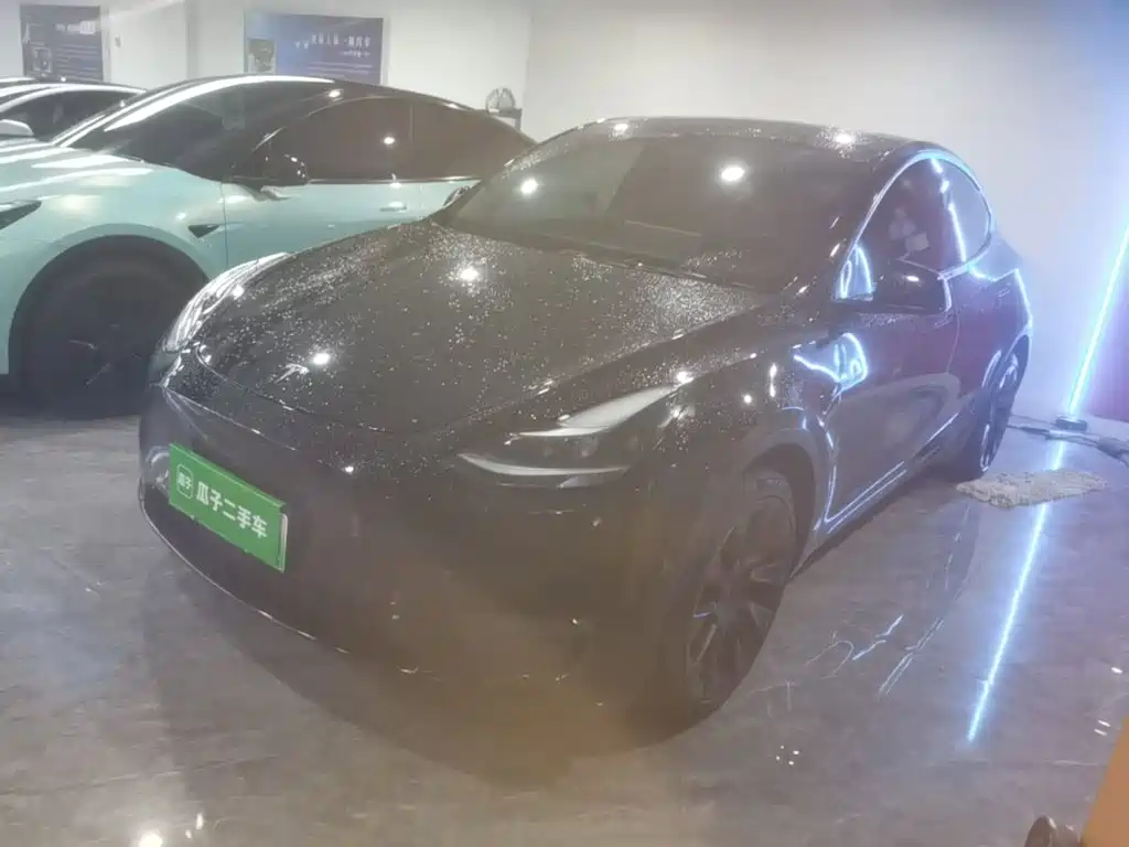 Tesla Model Y — миниатюра 2