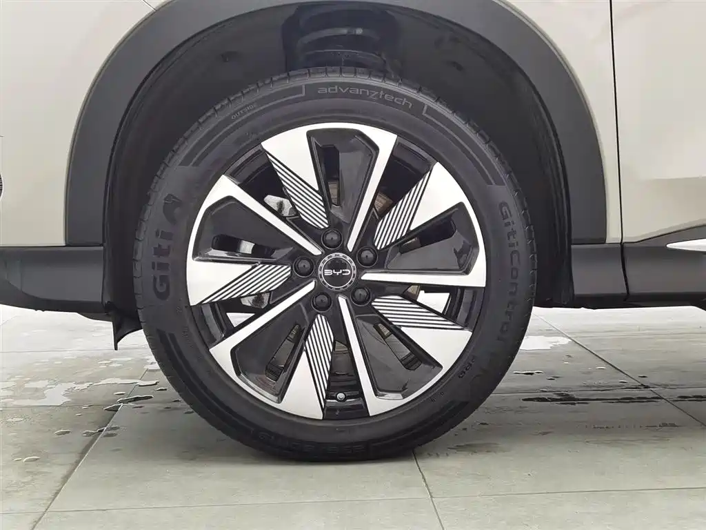 BYD SONGJIANG NEW ENERGY