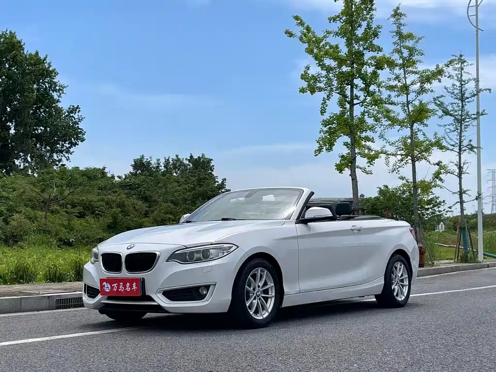 BMW 2 Series (Import) 2016