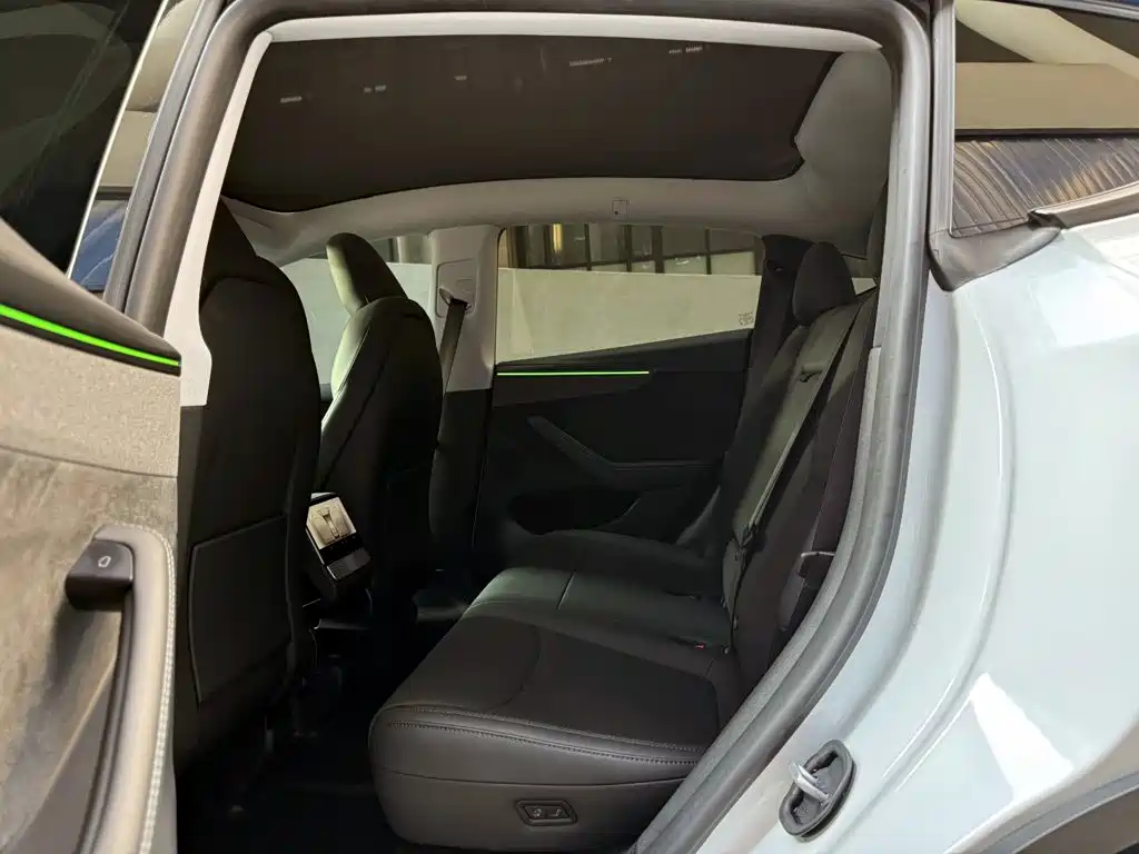Tesla Model Y — миниатюра 10