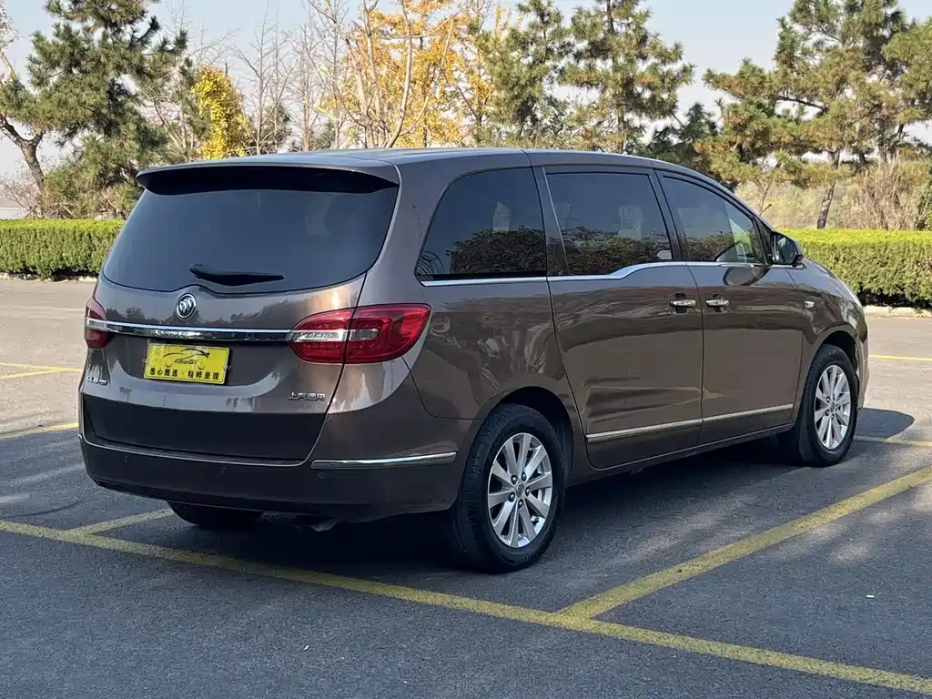 Buick GL8 — миниатюра 6