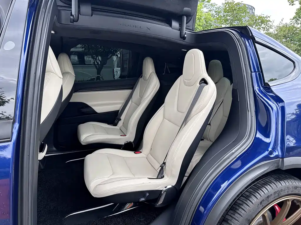 Tesla Model X — миниатюра 12
