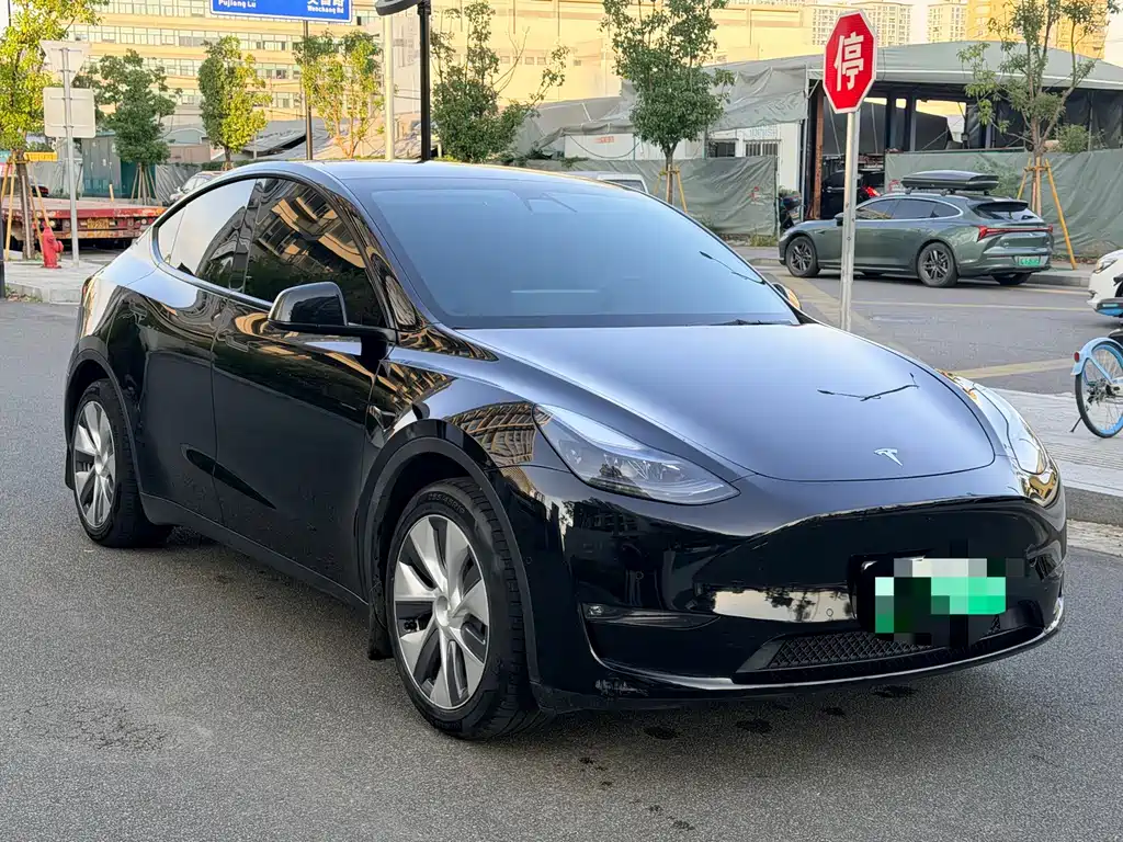 Tesla Model Y — миниатюра 3