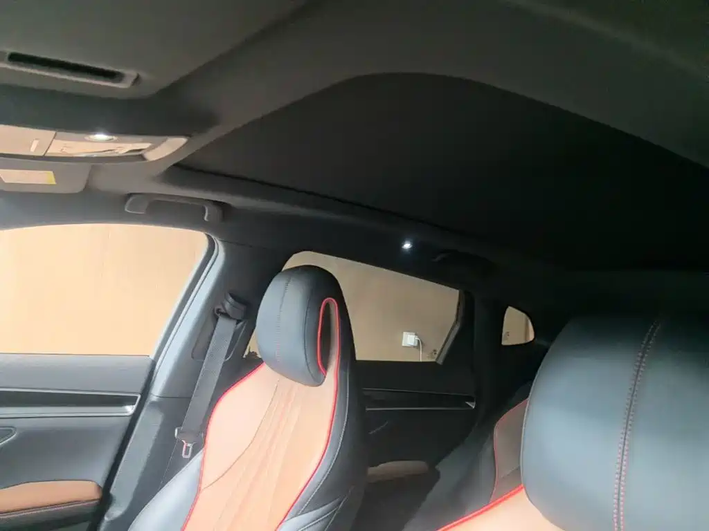 BYD PLUS — миниатюра 18