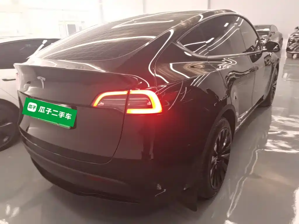 Tesla Model Y — миниатюра 7