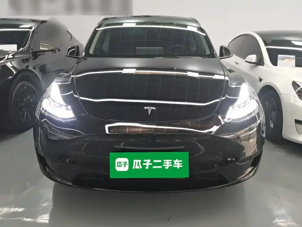 Tesla Model Y — миниатюра 3