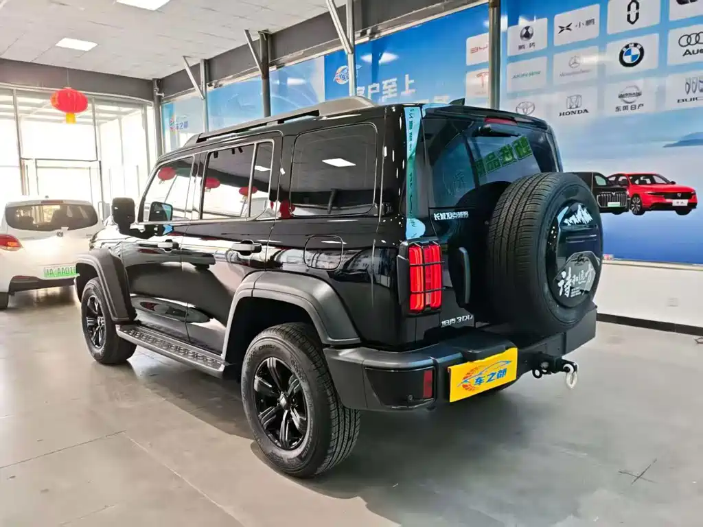 Tank 300 2024 2.0T