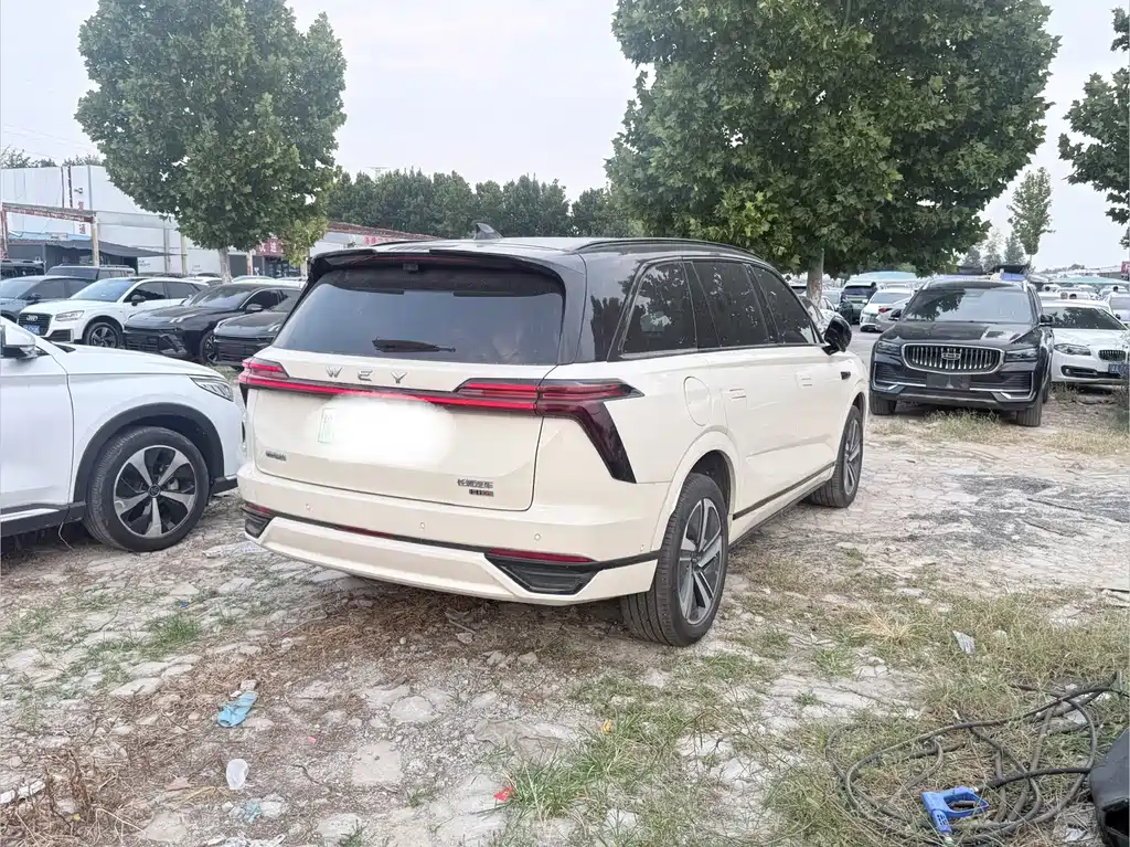 Wey Wey Lanshan — миниатюра 8