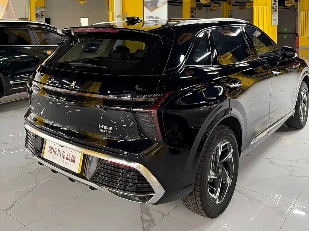 Hongqi Hongqi HS3 — миниатюра 12