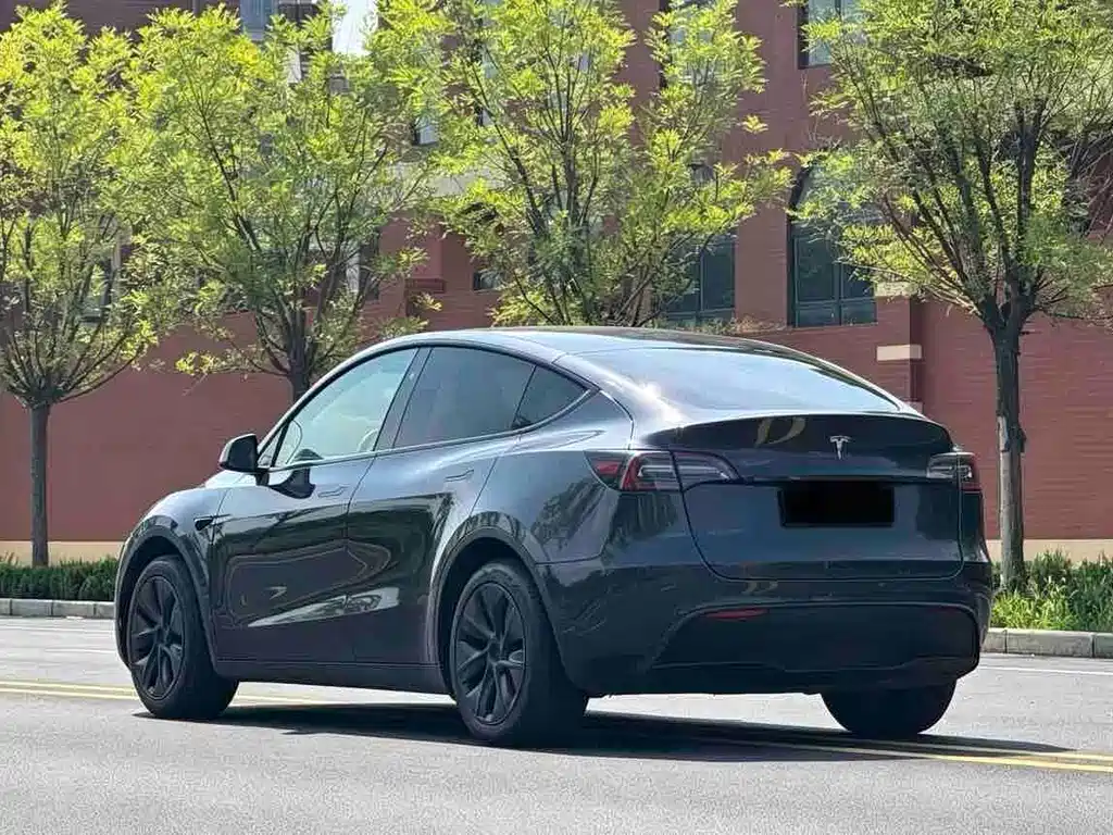 Tesla Model Y — миниатюра 7