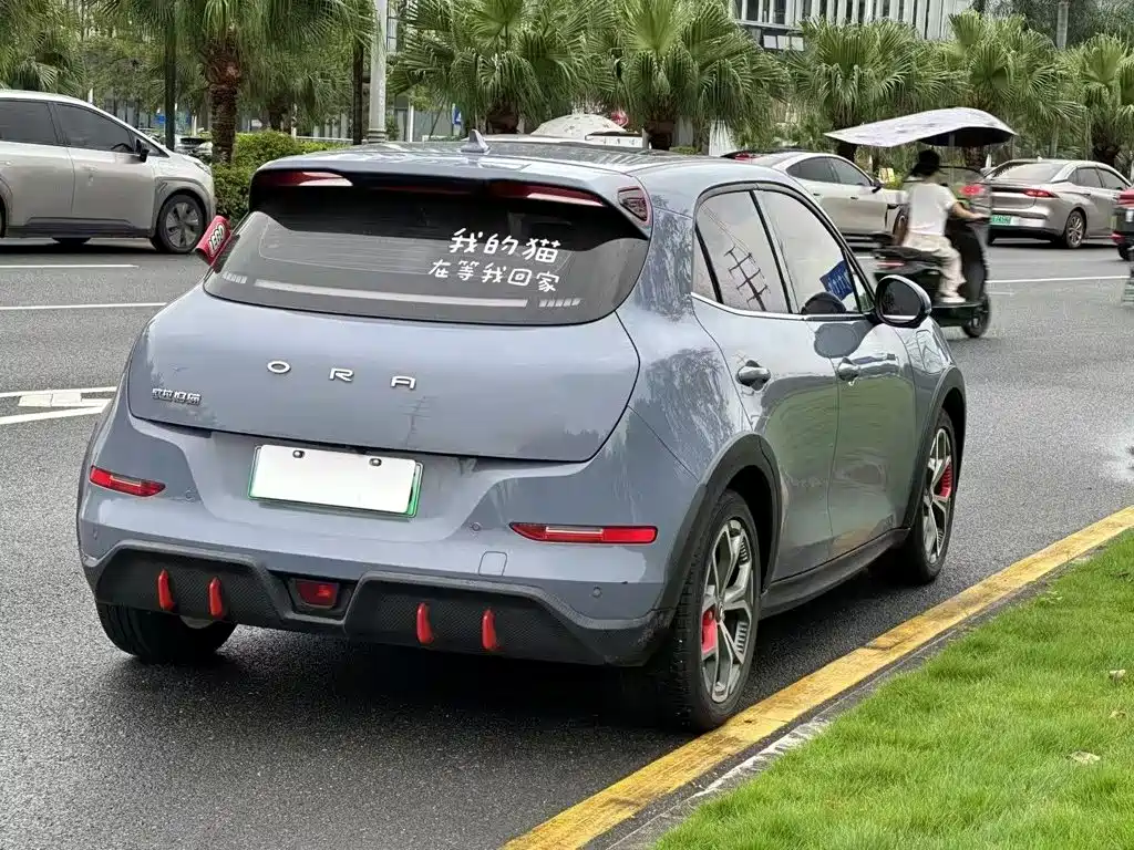 Ora Ora Good Cat GT — миниатюра 7