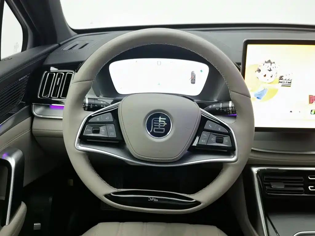 BYD Tang New Energy — миниатюра 11