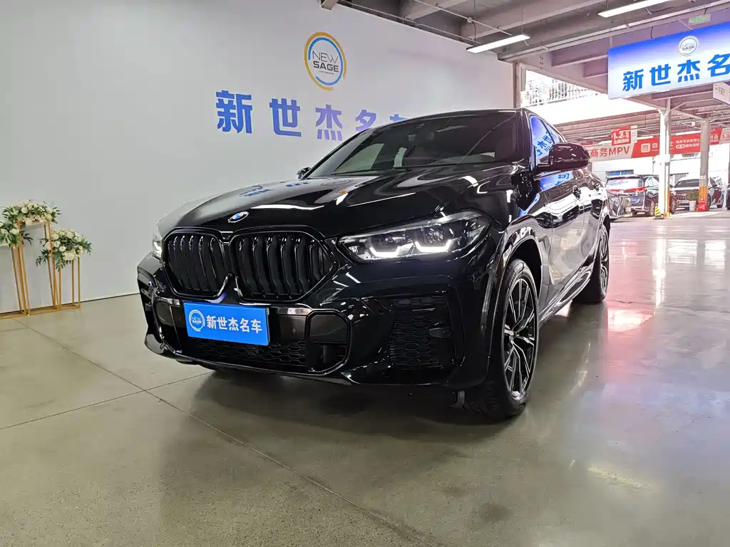 BMW X6