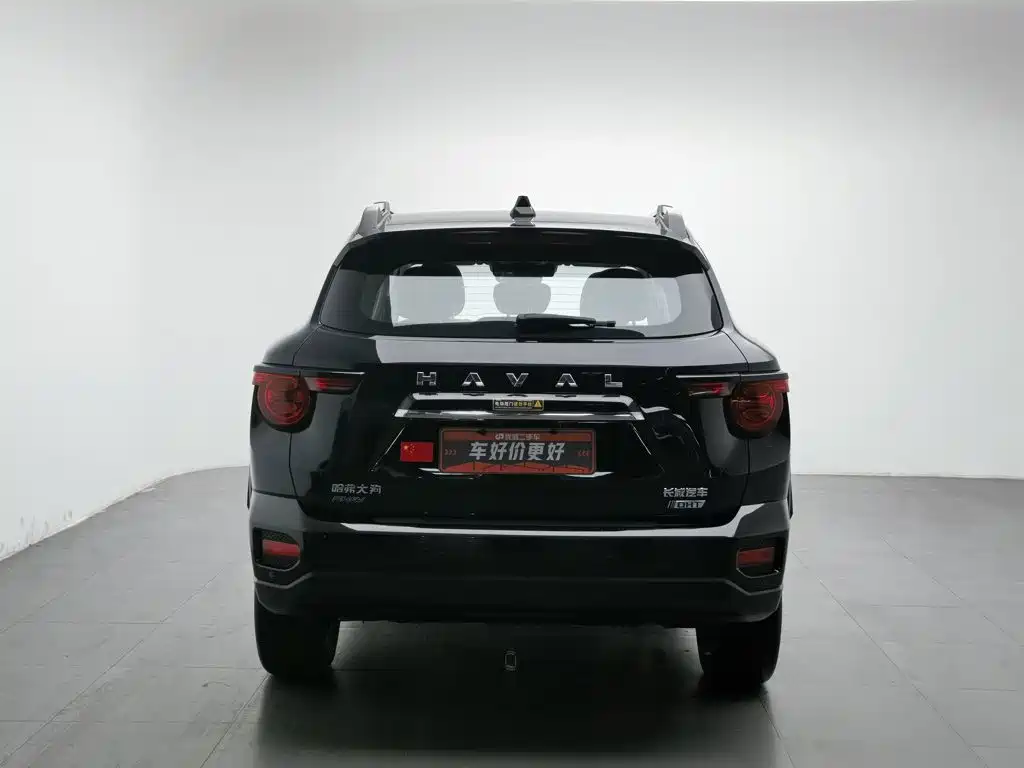 Haval Big Dog PLUS New Energy — миниатюра 4