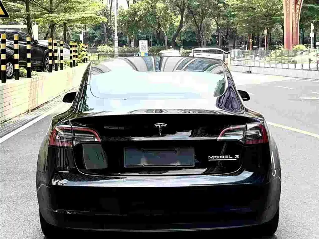 Tesla Model 3 — миниатюра 4