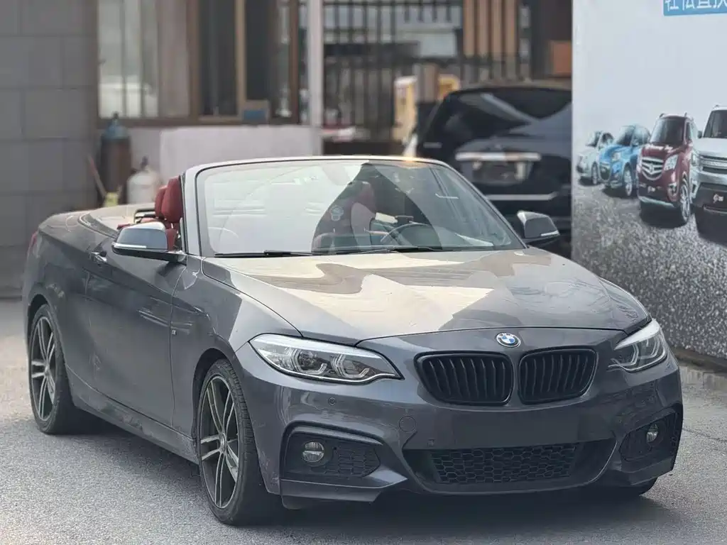 BMW 2 Series 2 2019 225i Premium M Sport