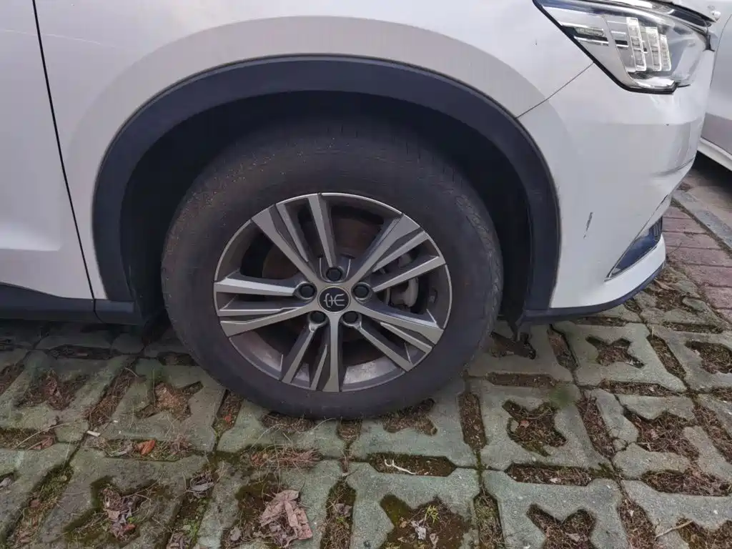 BYD Pro — миниатюра 24