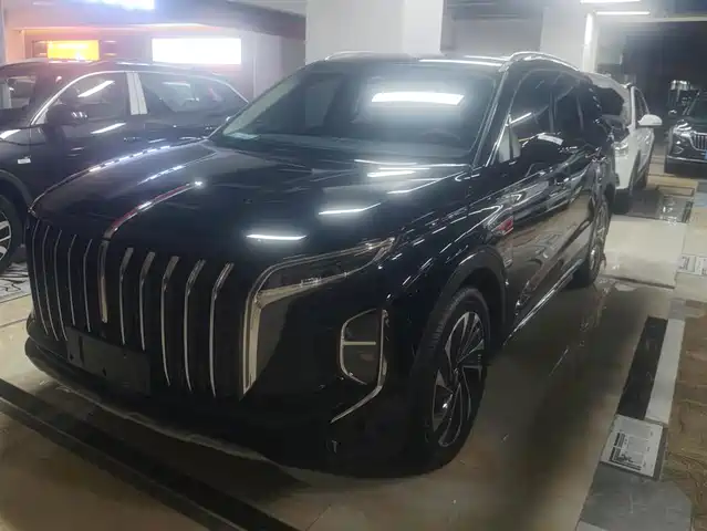 2025 Hongqi HS7