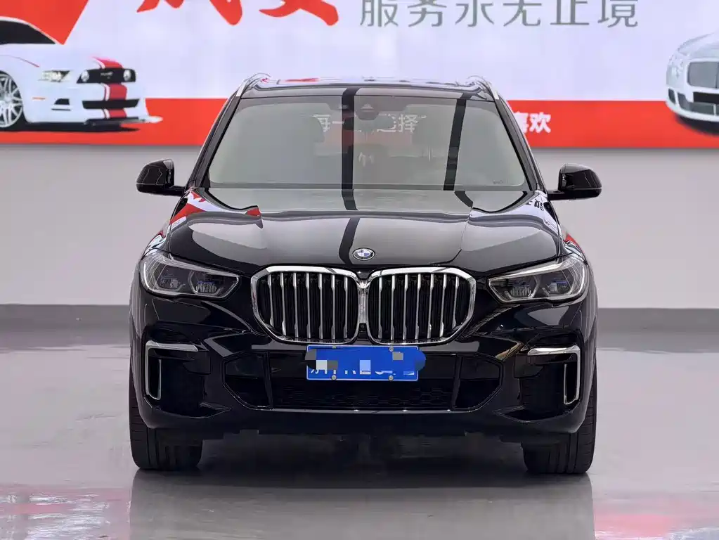 BMW X5 — миниатюра 2