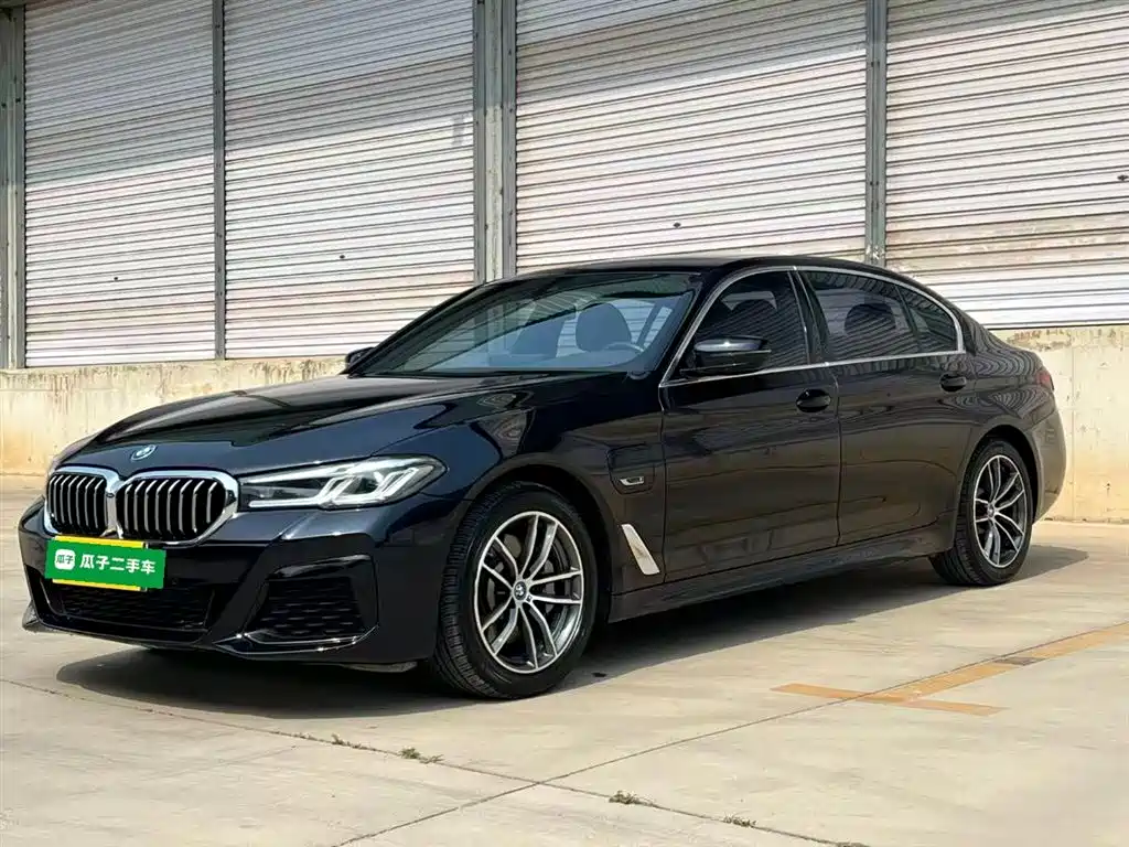 BMW 5 Series New Energy 2022