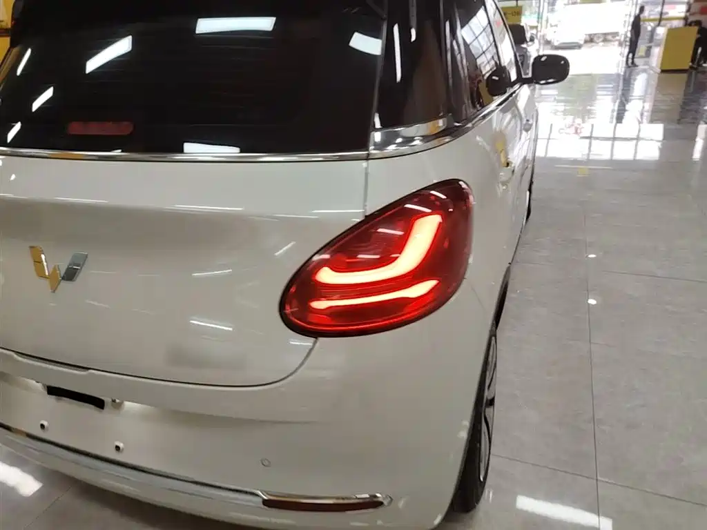 Wuling Binguo 2023 333km +