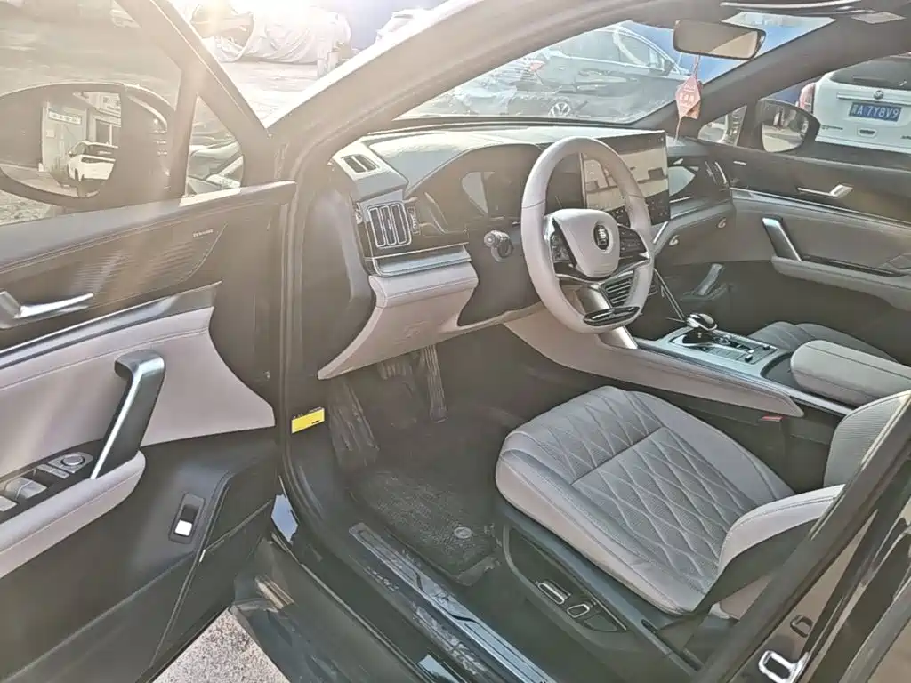 BYD Tang New Energy — миниатюра 16