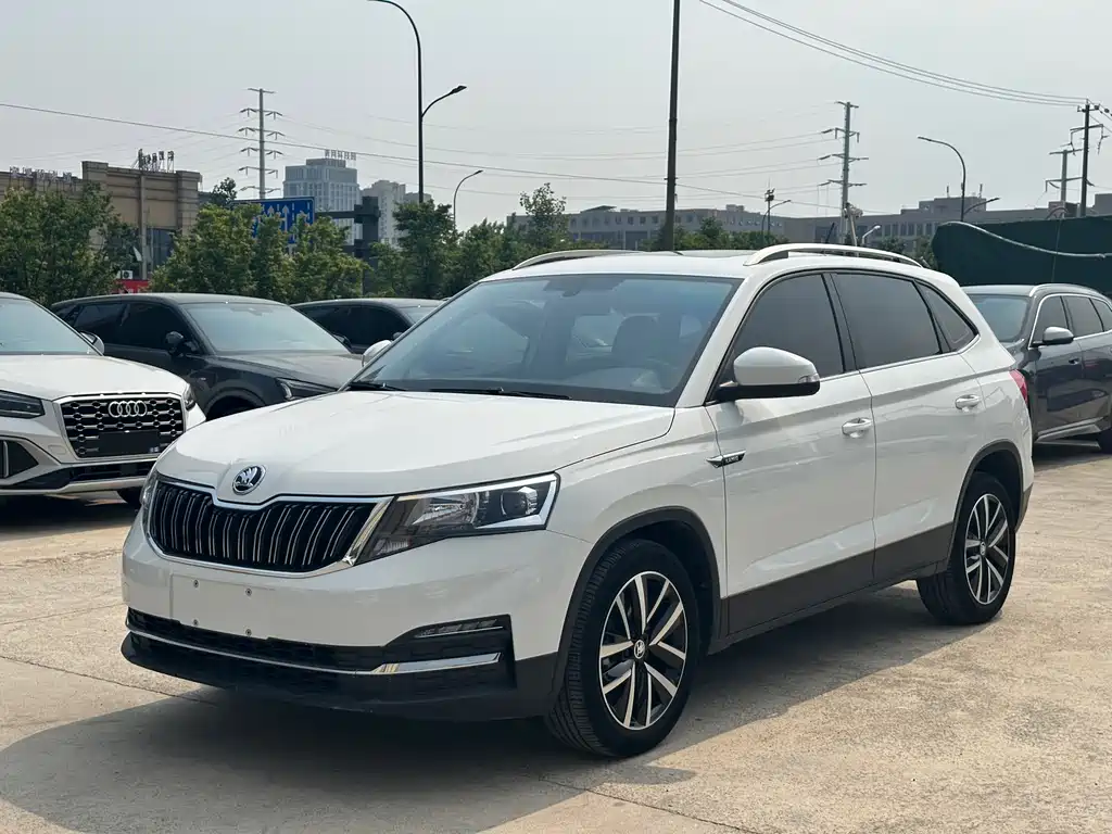 Купить Skoda Kamiq