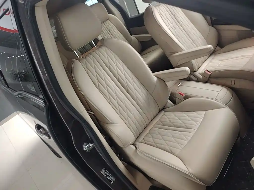 Buick GL8 — миниатюра 25