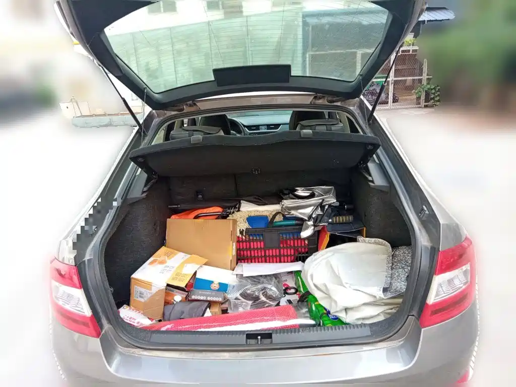 Skoda Octavia — миниатюра 15