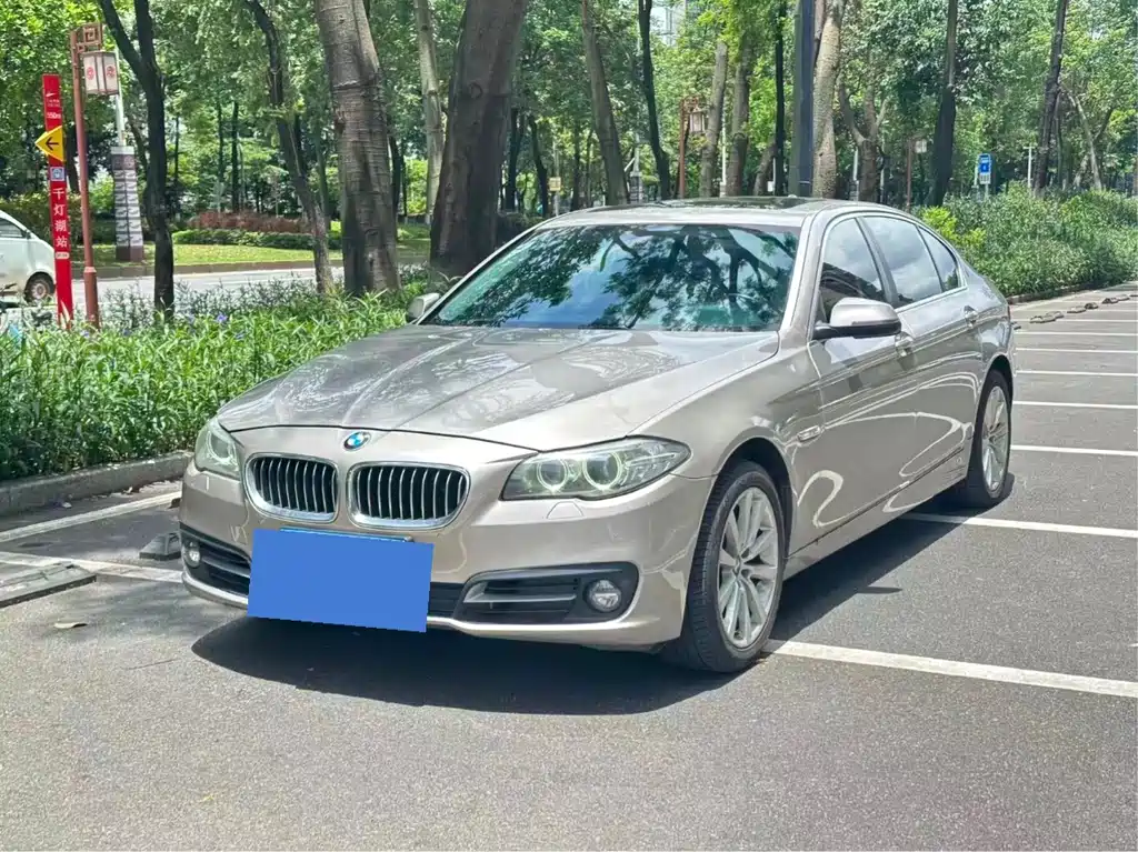 BMW 5 Series 5 2014 528Li Lead