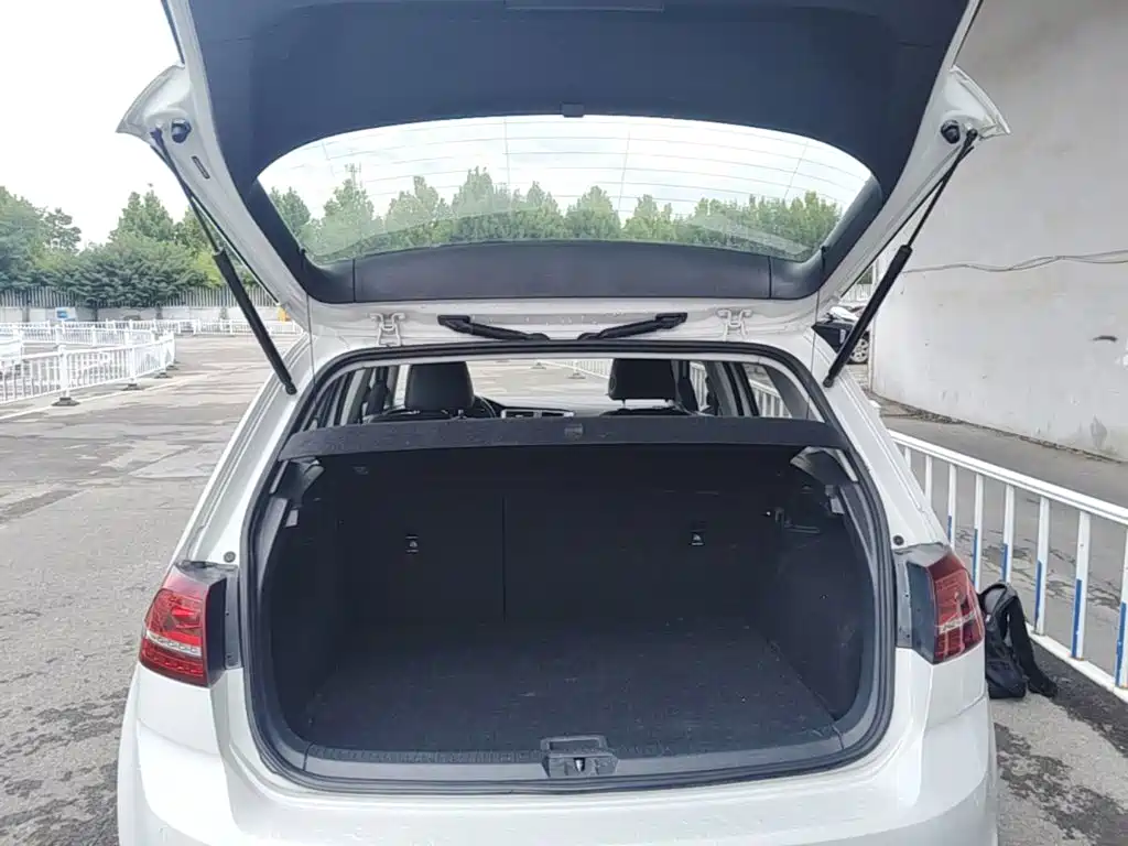 Volkswagen Golf — миниатюра 19
