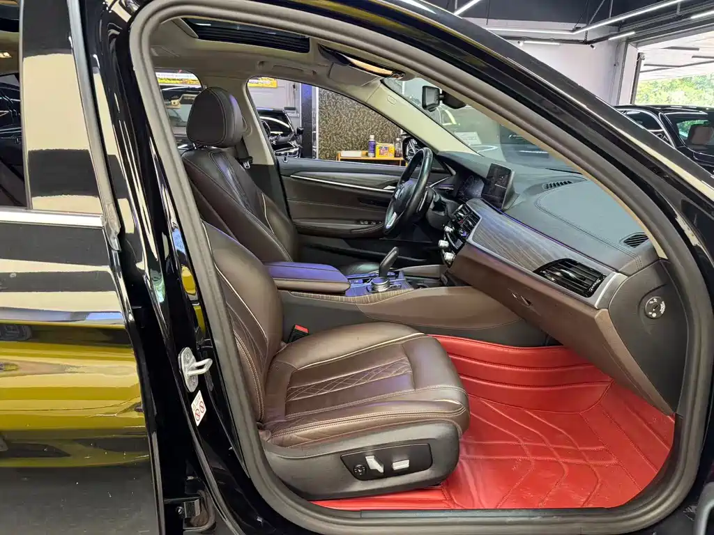 BMW 5 Series 5 2019 530Li Premium Luxury