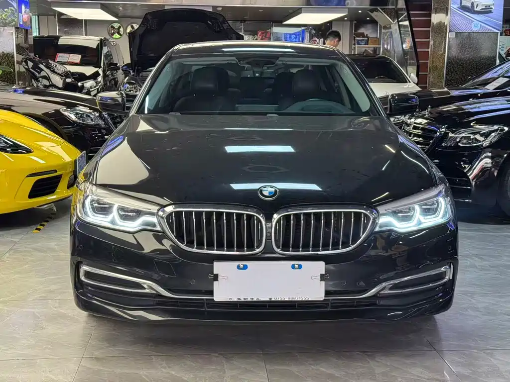 BMW 5 Series 5 2019 530Li Premium Luxury