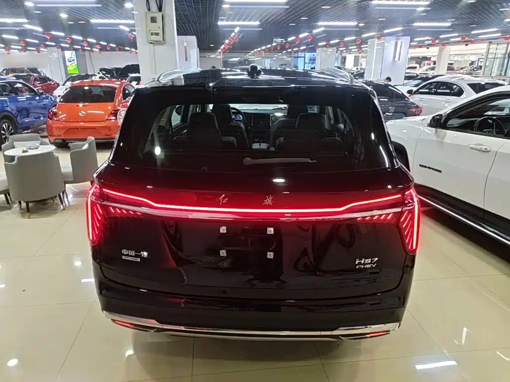Hongqi Hongqi HS7 PHEV — миниатюра 6