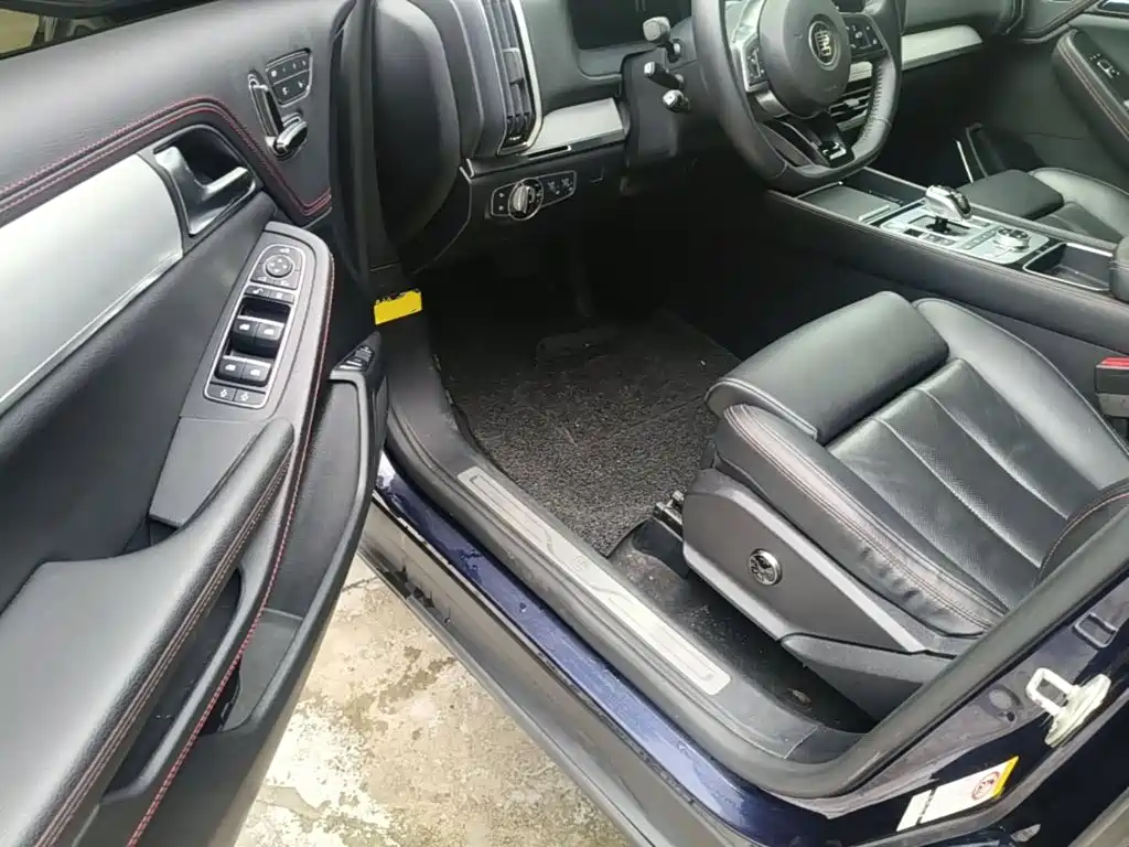 BYD Tang New Energy — миниатюра 16
