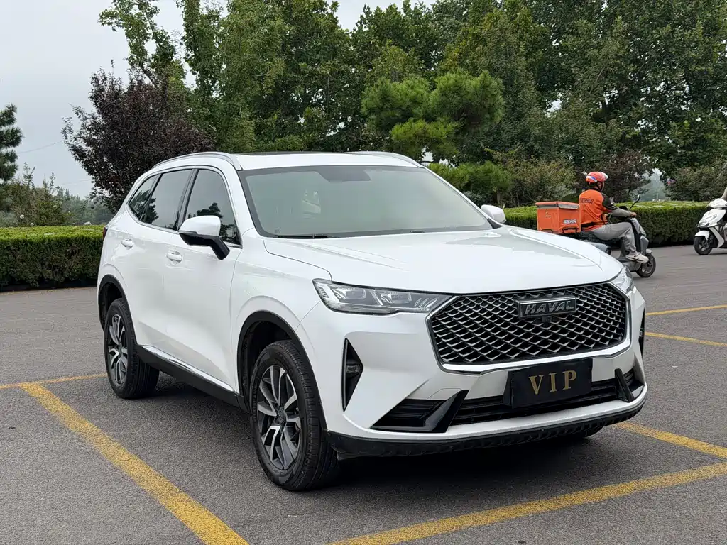 Haval H6 — миниатюра 2